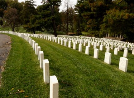 rows and rows of dead young men